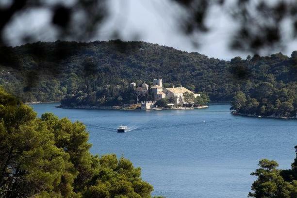 Mljet Sunset Apartments Pomena Exteriér fotografie